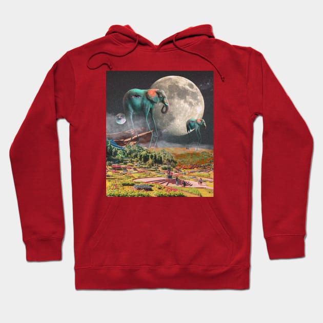 Fantasy realm Hoodie by morysetta